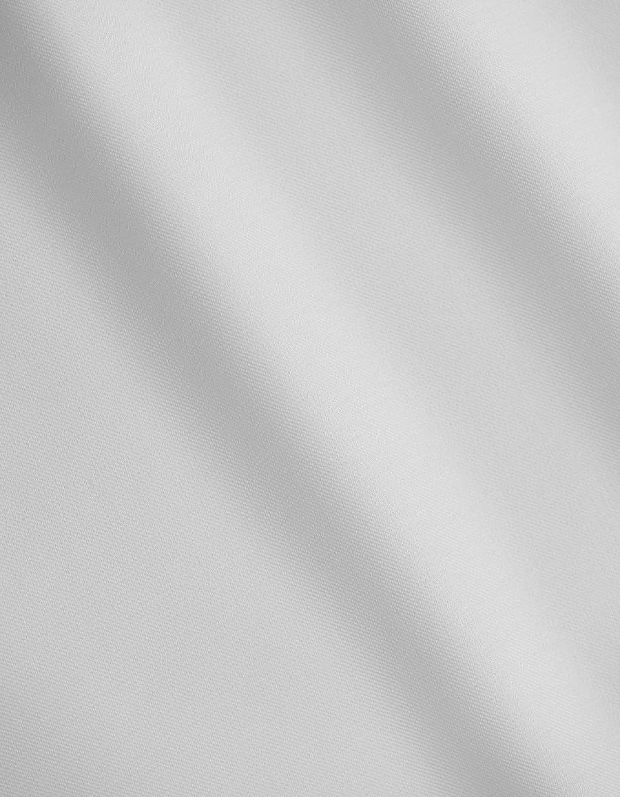 سميراميس البيضاء - AQ - حمامة بيضاء